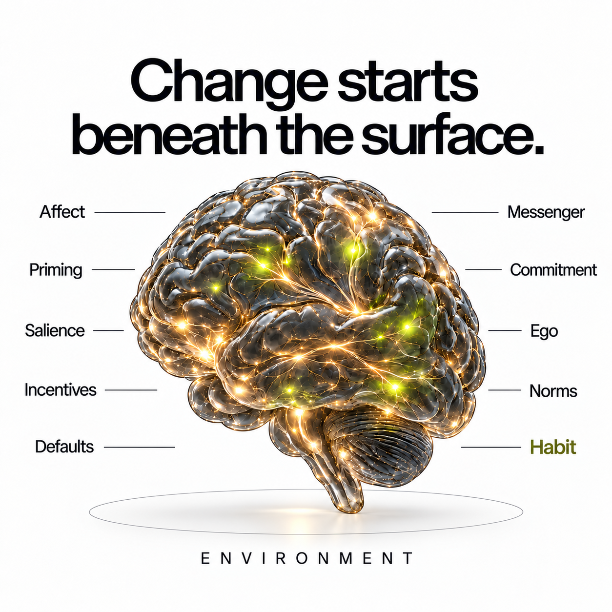 The psychology of mapping behaviors